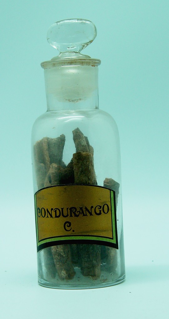 Condurango, Corteza | Farmacia Museo Aramburu